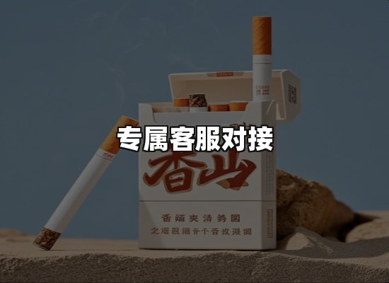 专业优势